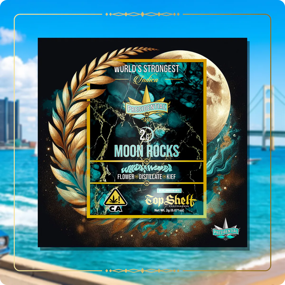 Whoa Si Whoa Presidential Moon Rock variant 2 for the Michigan home collection